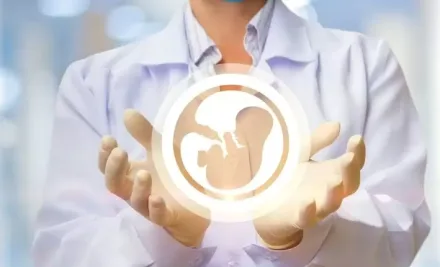 CONSEJOS DE ORO PARA EL ÉXITO DE LA FIV