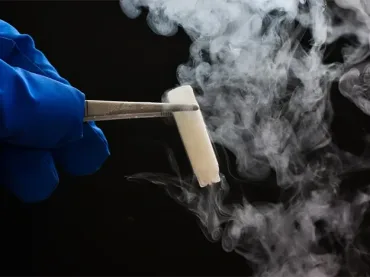 Congelación de Embriones