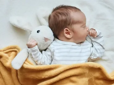 FIV (Fecundación in Vitro)