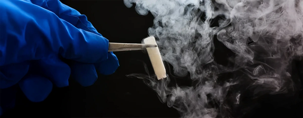 Congelación de Embriones