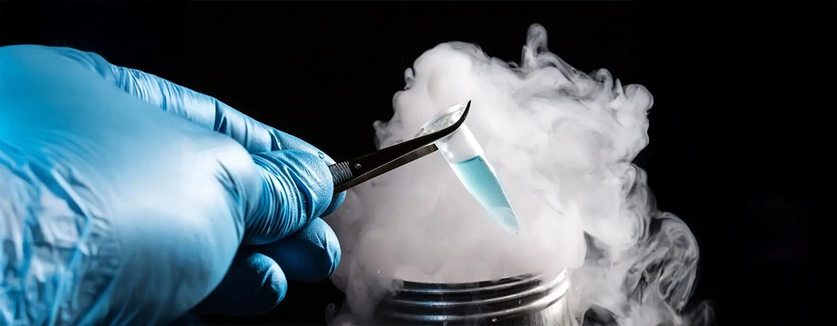 Congelación de Óvulos