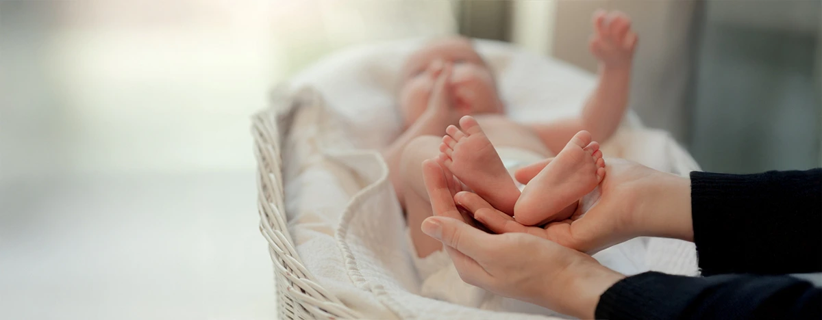 Inseminación Artificial (IA)